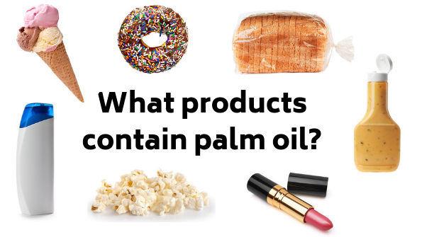 Palm Oil Products