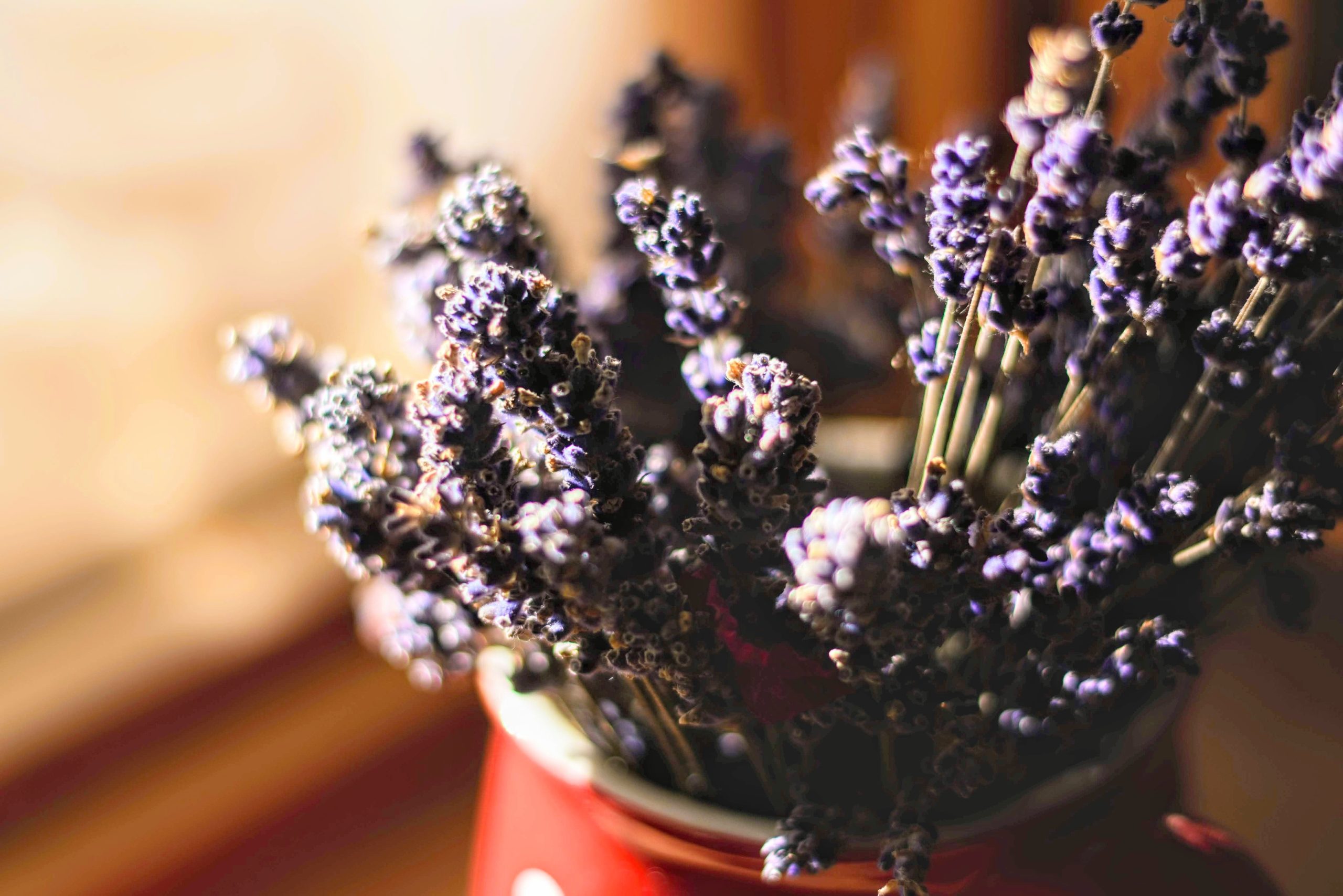 The Best Herbs and Supplements for Sleep Delicious Living