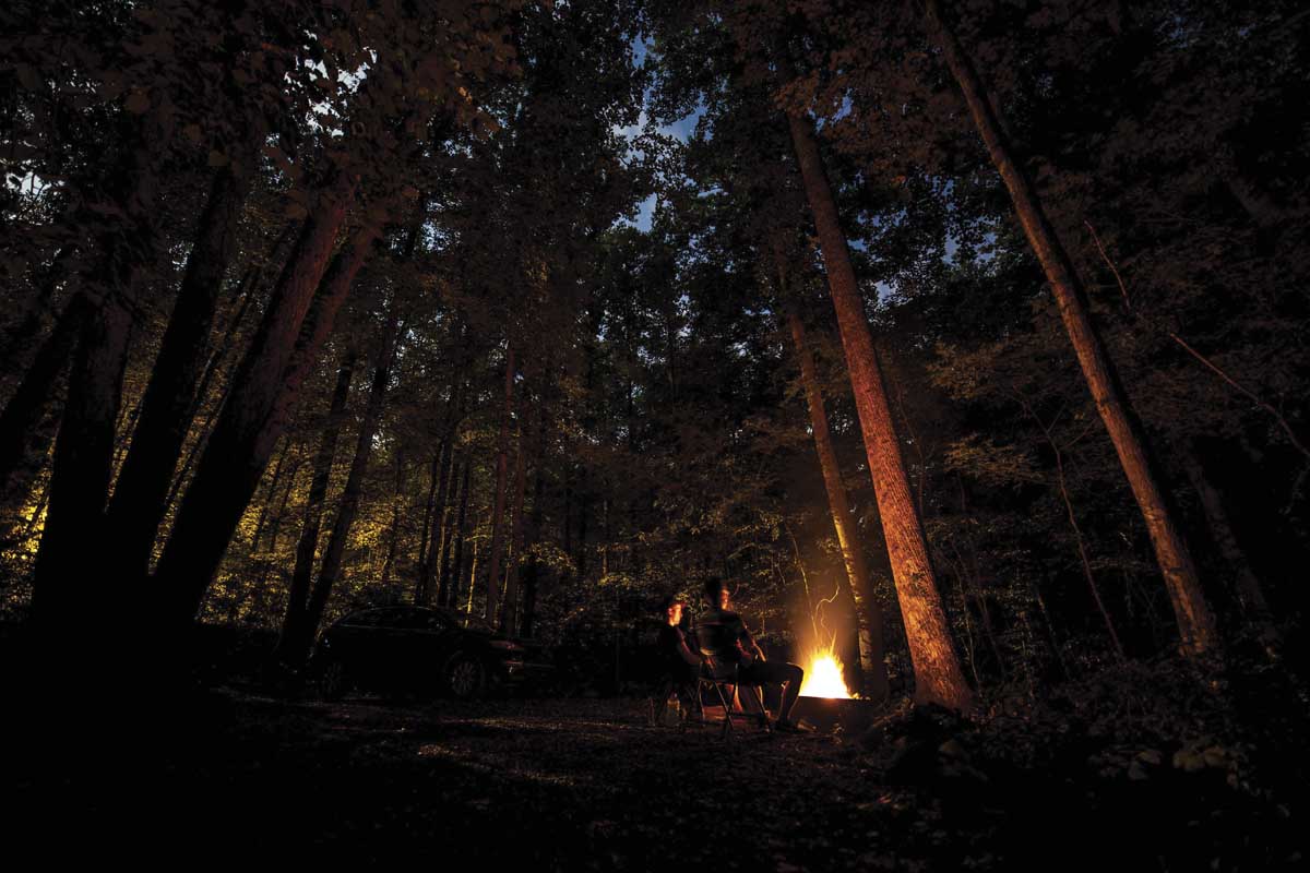 Embrace Seasonal Living Delicious Living