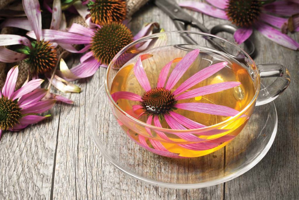 Herbs for virus fighting Delicious Living