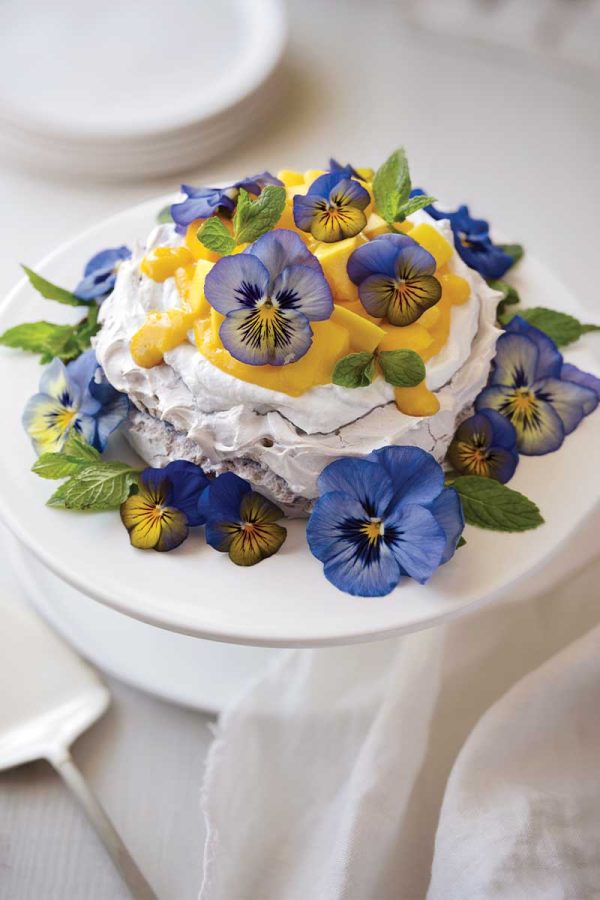 Aquafaba Pavlova with Mango, Mint, and Lime Coconut Cream Aquafaba pavlova with coconut cream