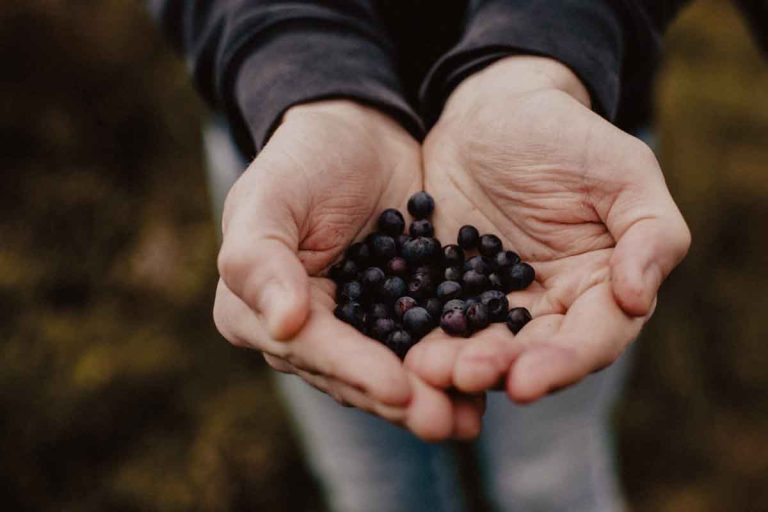 Ancestral Approaches to Detox