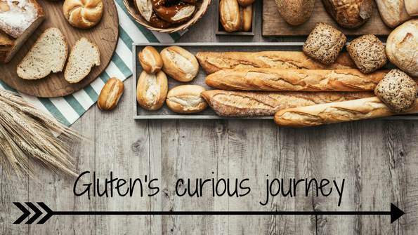 Gluten’s curious journey: A history of gluten