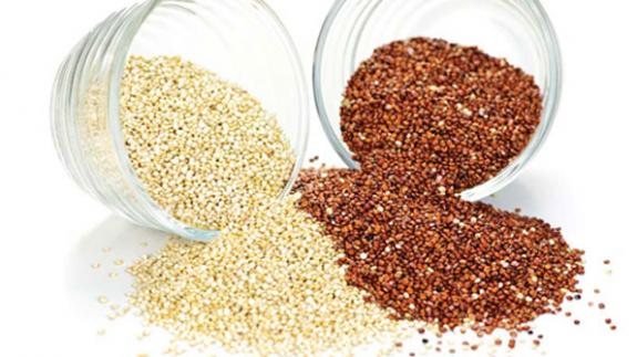 Your essential quinoa recipe guide