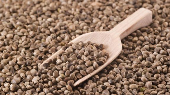 4 nutritious seeds