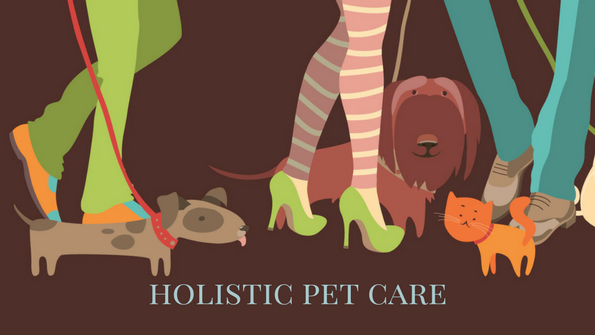 5 holistic and natural ways to care for your pet