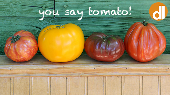 5 tomato recipes to celebrate harvest season