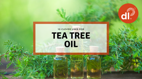 10 genius uses for tea tree oil