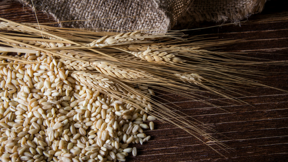 Wheat and Celiac