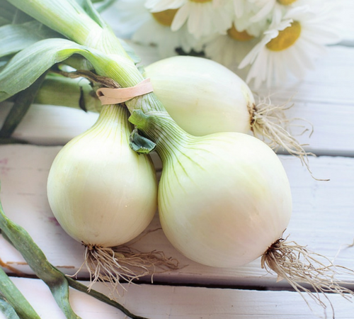 spring onion