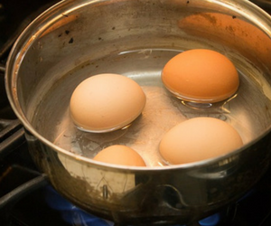 poached eggs